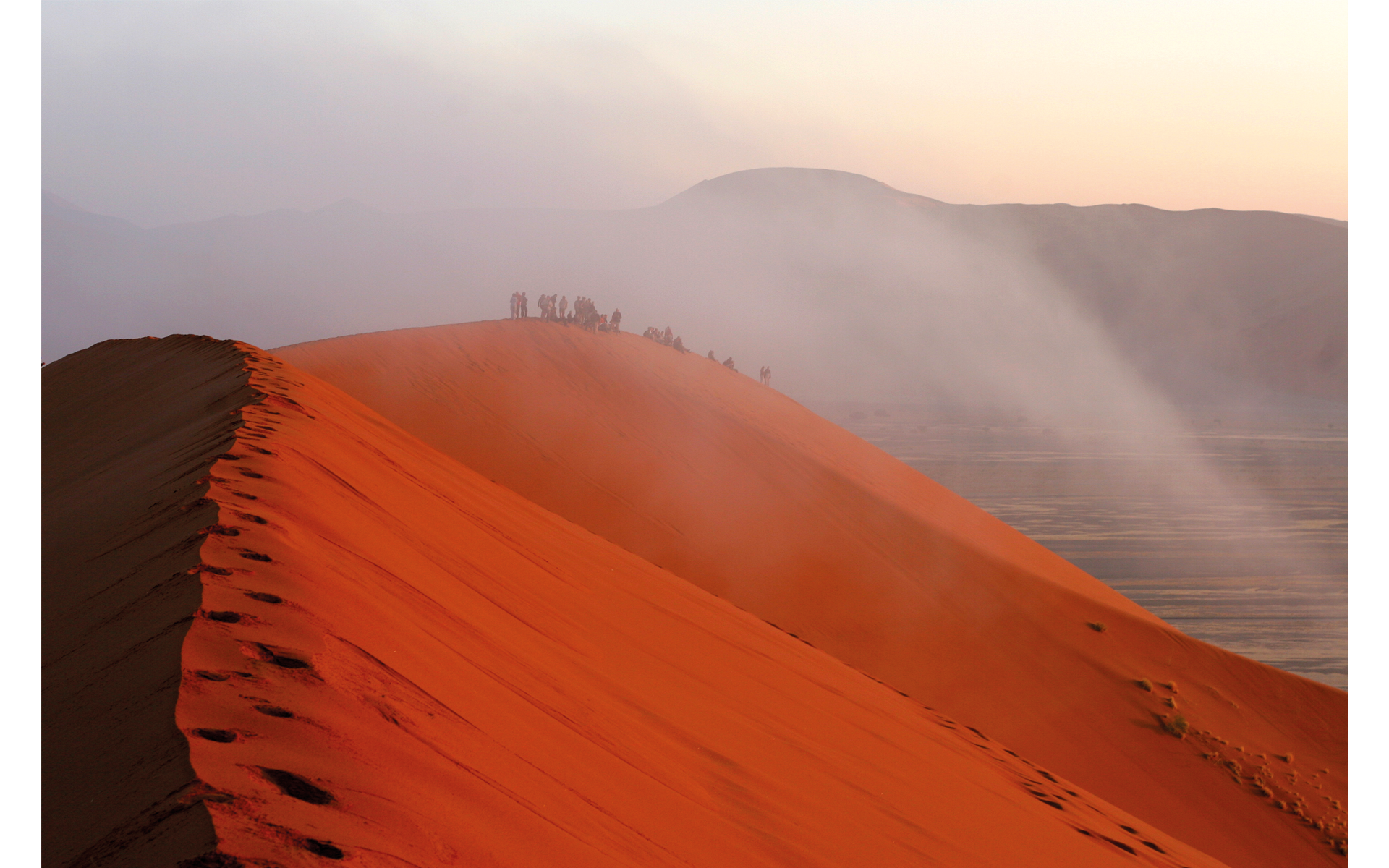Collecting Water from Droplets of Fog