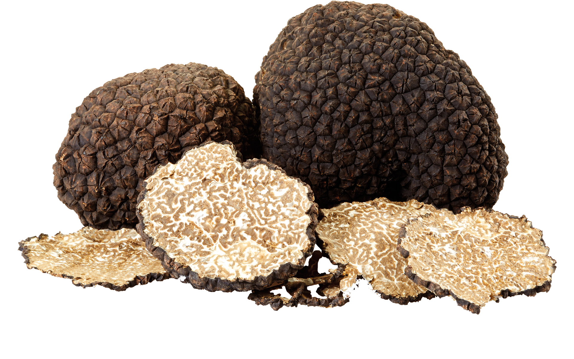 Truffles: An Underground Treasure